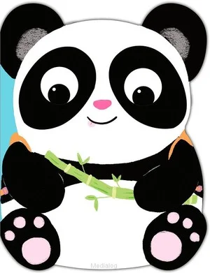 Populair Thomas' Woudavontuur Panda