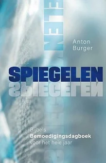 Koop Vandaag Spiegelen