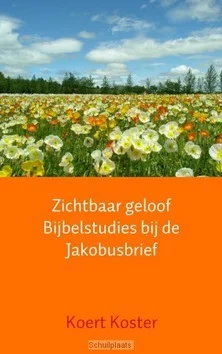 Uitverkoop ZICHTBAAR GELOOF BIJBELSTUDIES BIJ DE JA