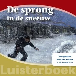 DE SPRONG IN DE SNEEUW LUISTERBOEK Goedkoop