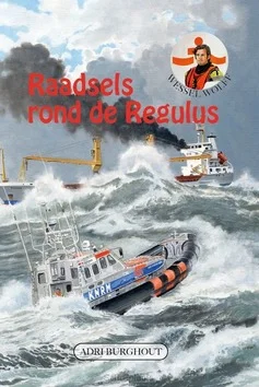 RAADSELS ROND DE REGULES Rechtstreeks Van De Fabrikant