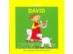 Aanbieding DAVID B-BOEKJE