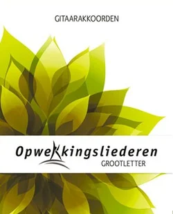 Actieprijs GITAARAKKOORDEN BOEK 1 - 844 GROTE LETTE