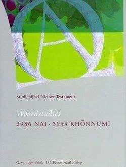 STUDIEBIJBEL NT 14 WOORDSTUDIES 4 Superprijs