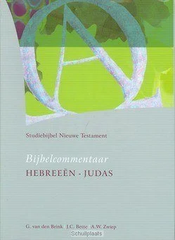 STUDIEBIJBEL NT9 HEBREEEN - JUDAS Alleen Vandaag