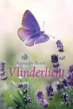 VLINDERLICHT Gereduceerde Prijs