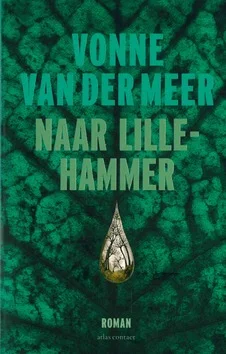 NAAR LILLEHAMMER Direct Beschikbaar