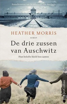 Rechtstreeks Van De Fabrikant DE DRIE ZUSSEN VAN AUSCHWITZ