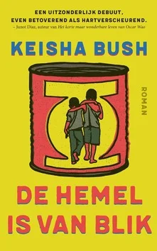 Rechtstreeks Van De Fabrikant DE HEMEL IS VAN BLIK
