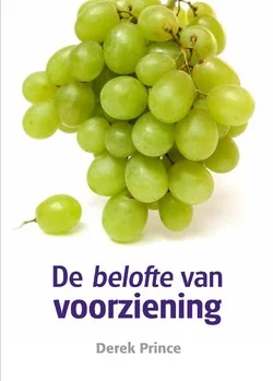 DE BELOFTE VAN VOORZIENING Lage Prijs