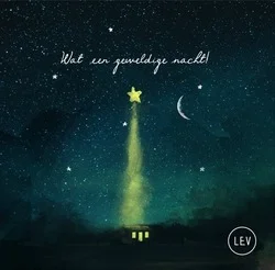 Betaalbaar WAT EEN GEWELDIGE NACHT