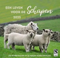 Beperkt Aanbod BUREAU KALENDER LEVEN VOOR DE SCHAPEN 25