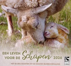 Lage Kosten BUREAU KALENDER LEVEN VOOR DE SCHAPEN 26