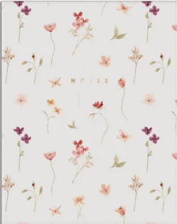 NOTEBOOK D3 Must-Have