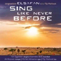 Bestseller SING LIKE NEVER BEFORE