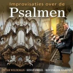 IMPROVISATIE OVER DE PSALMEN HINSZ-ORGEL Lage Prijs