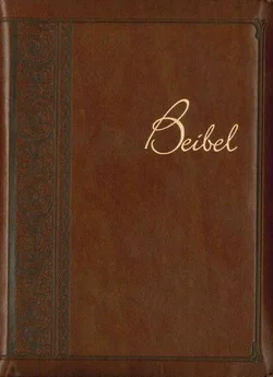 BIJBEL / BEIBEL PAPIAMENTO MET RITS Goedkoop