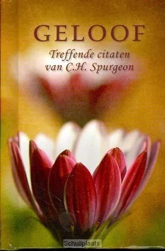 Flitsaanbieding GELOOF