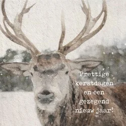 Betrouwbaar MINIKERSTKAART ELAND
