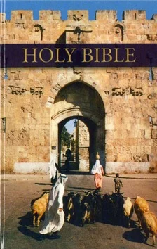ENGELSE BIJBEL KJV ILL E3 Meest Verkocht