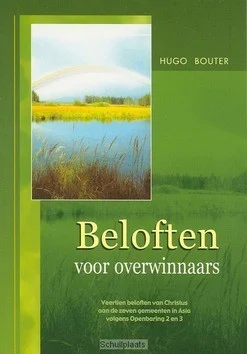 BELOFTEN VOOR OVERWINNAARS Koopje