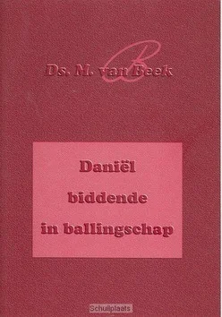 DANIEL BIDDENDE IN BALLINGSCHAP Lage Kosten