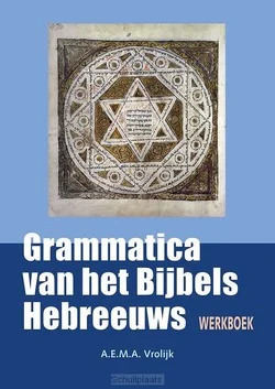 Direct Verzonden WERKBOEK BIJ GRAMMATICA VAN HET BIJBELS