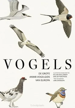Hete Deal VOGELS