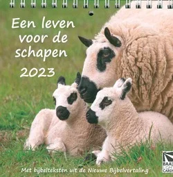 Goedkoop BUREAU KALENDER LEVEN VOOR DE SCHAPEN 23