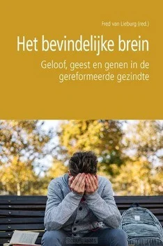 BEVINDELIJKE BREIN Hete Deal
