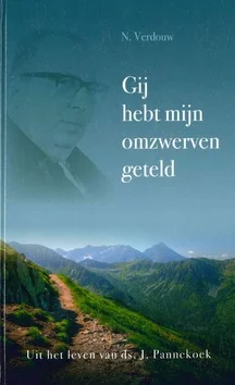 Betaalbaar GIJ HEBT MIJN OMZWERVEN GETELD