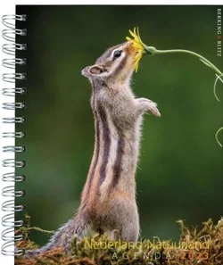 Must-Have NEDERLAND NATUURLAND WEEKAGENDA 2023