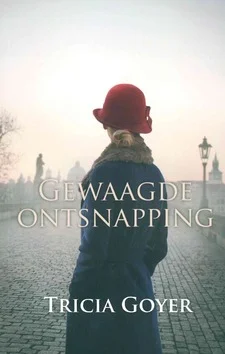 GEWAAGDE ONTSNAPPING MIDPRICE Aanbieding