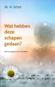WAT HEBBEN DEZE SCHAPEN GEDAAN Direct Verzonden
