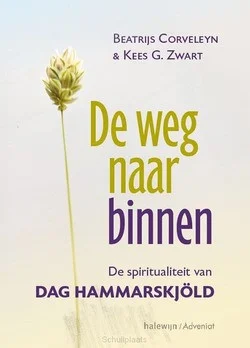 DE WEG NAAR BINNEN Rechtstreeks Van De Fabrikant