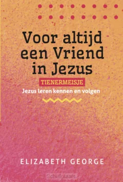 Snelle Levering VOOR ALTIJD EEN VRIEND IN JEZUS TIENERME