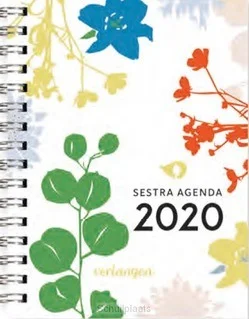 Gratis Verzending SESTRA AGENDA 2020