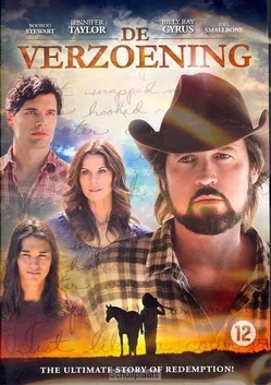 DVD DE VERZOENING Flitsaanbieding