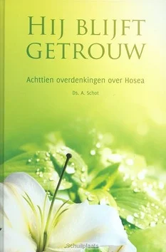 Goedkoop HIJ BLIJFT GETROUW