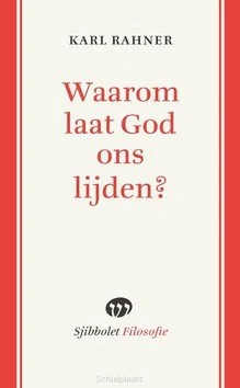 Dagaanbieding WAAROM LAAT GOD ONS LIJDEN TOE?