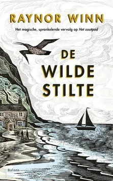Koop Vandaag DE WILDE STILTE