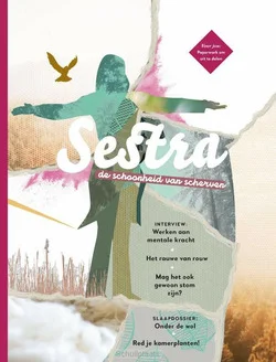SESTRA 2022 DE SCHOONHEID VAN SCHERVEN Nu Kopen