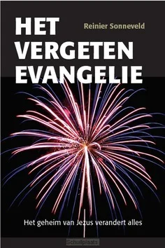 Express Levering HET VERGETEN EVANGELIE