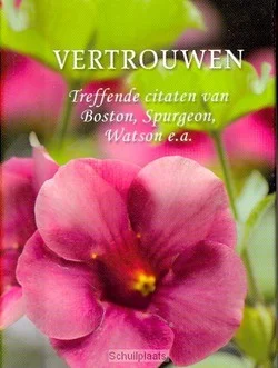 Rechtstreeks Van De Fabrikant PARELTJE VERTROUWEN