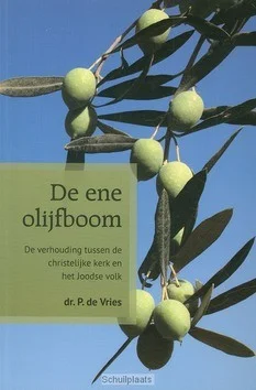 Dagaanbieding ENE OLIJFBOOM