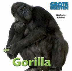 GORILLA Koop Vandaag