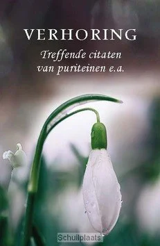 Direct Beschikbaar PARELTJE VERHORING