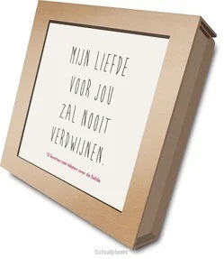 Beste Prijs MIJN LIEFDE VOOR JOU ZAL NOOIT VERDWIJNE