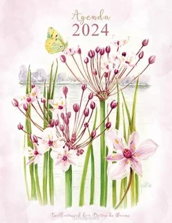 Meest Verkocht MATTIE AGENDA 2024
