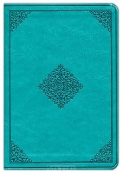 ESV LARGE PRINT COMPACT BIBLE Gecertificeerd